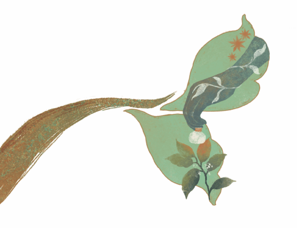 The programs featured image